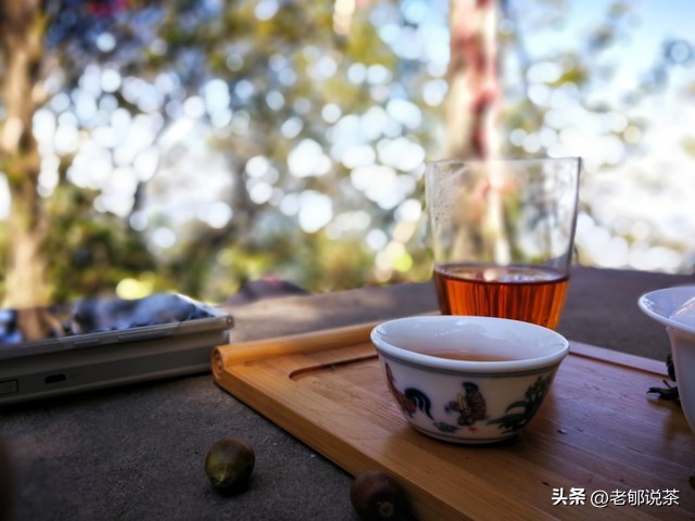 喝普洱茶口渴的原因是什么？