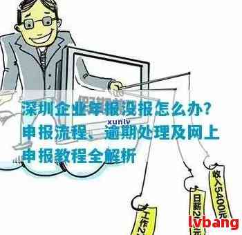 深圳企业执照年报办理时间及相关流程全面解析