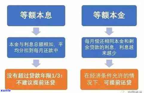 逾期本息：涵本金及其他费用的综合解释与应对策略