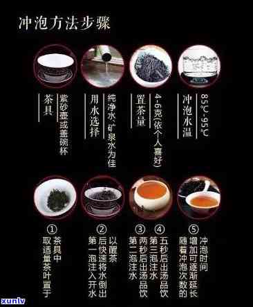 熟普洱茶的冲泡方法：煮还是泡？哪个更适合你？