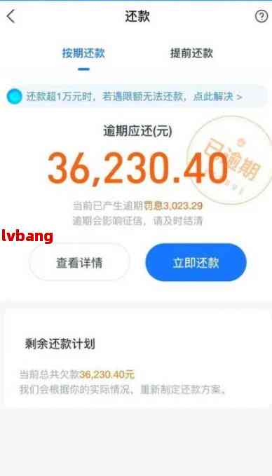 逾期还款的后果：借呗17万欠款中8万逾额如何处理