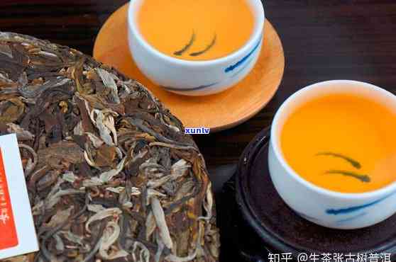 天津市普洱茶专卖店：优质普洱茶选购指南、品种推荐与茶叶冲泡技巧