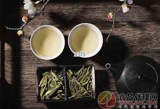 普洱茶和龙井茶可以一起泡吗？如何正确搭配泡制这两种茶？