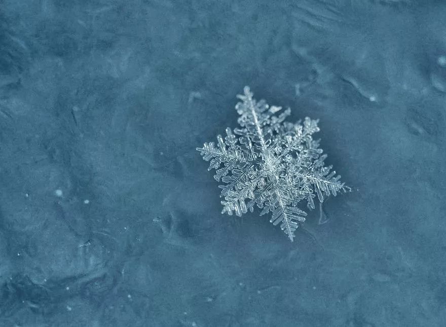 翡翠般的雪花在静谧中舞动