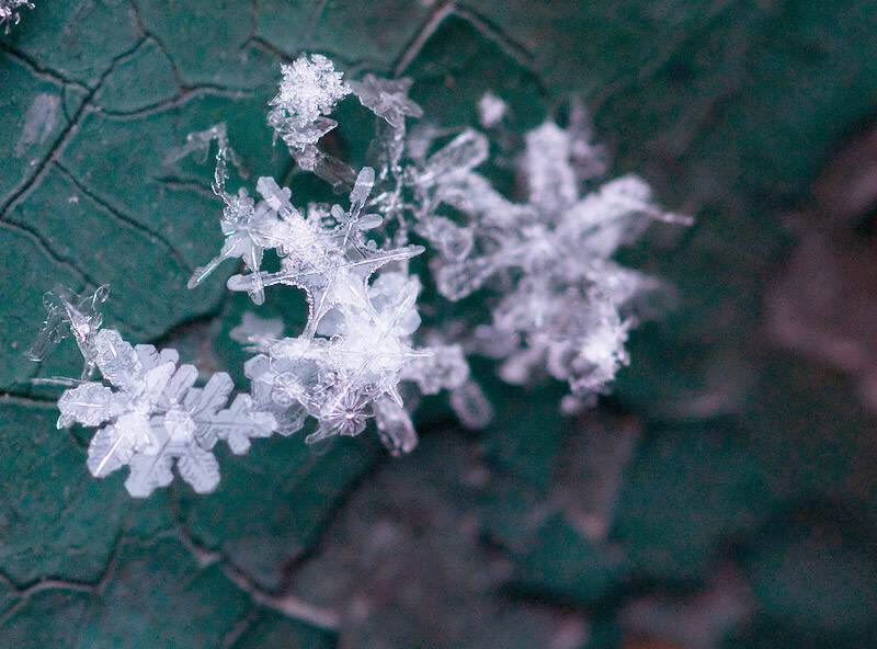 翡翠般的雪花在静谧中舞动