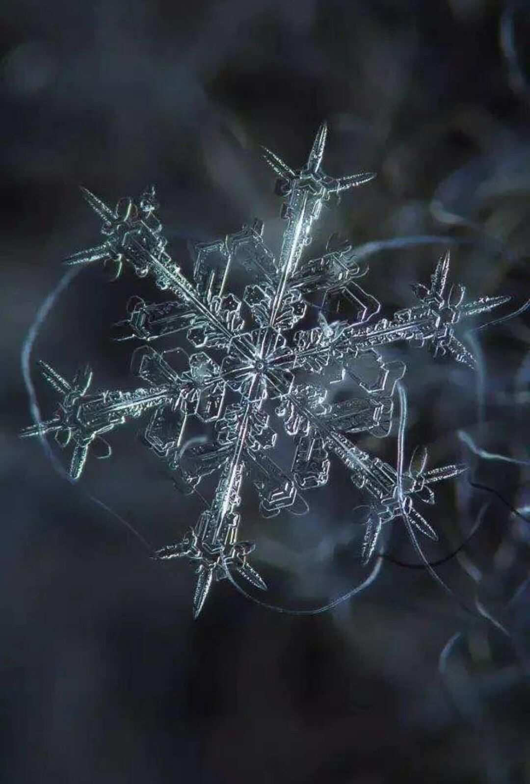 翡翠般的雪花在静谧中舞动