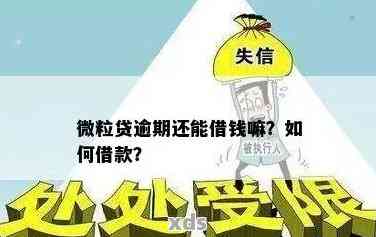 新微粒贷逾期2天后已还款，为何仍显示逾期状态？了解相关原因和解决策略