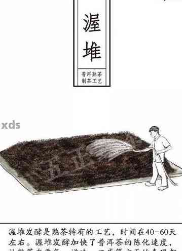 普洱茶发酵工艺详解：从原料到品鉴，全方位了解如何制作和品尝发酵普洱茶