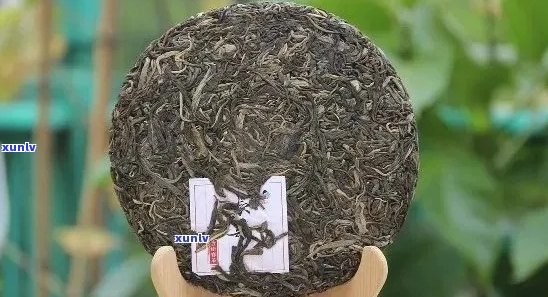 普洱茶十大名茶分别是什么茶类、什么茶型及最新排名