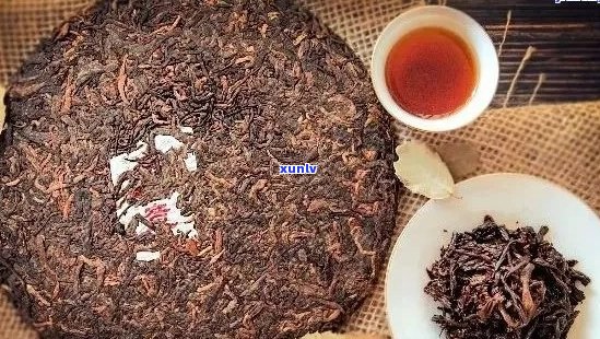 普洱茶十大名茶分别是什么茶类、什么茶型及最新排名