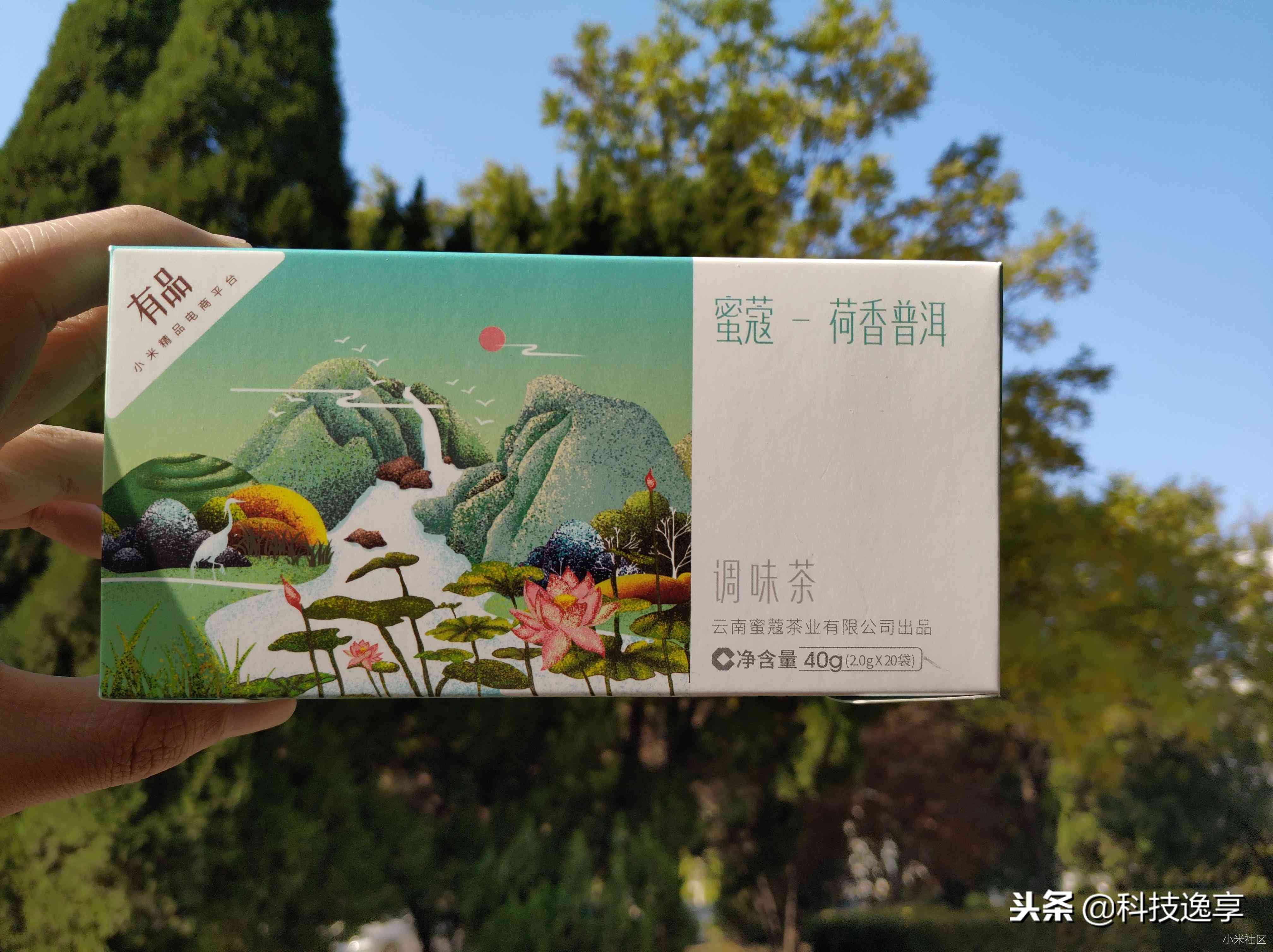 一元的普洱茶能喝吗有吗