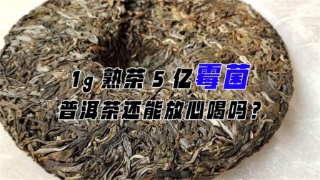 了解普洱茶的阅读指南：哪些书值得一看？