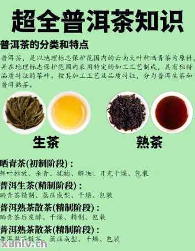 学喝普洱茶看什么书好一点