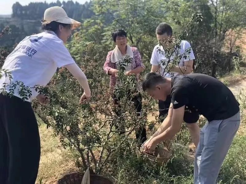 浦发卡协商后未按时还款会怎么样