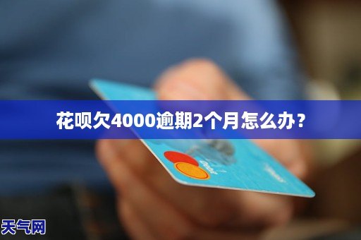 先息后本逾期的后果：利息计算、罚息算法与解决办法