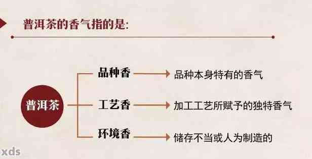 普洱茶香气的重要性及其判断方法：如何挑选具有醇厚香气的普洱茶？