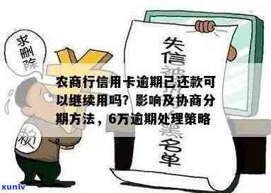 农商行信用卡逾期6万元可能面临的后果及解决方法全解析