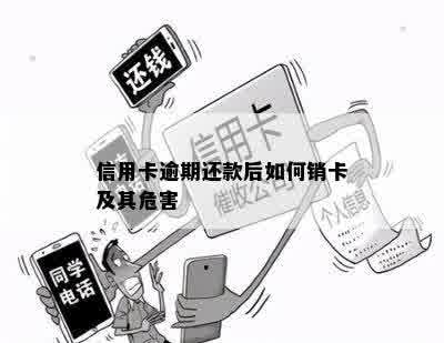 信用卡逾期被销卡有什么后果吗