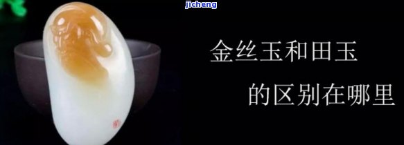 金丝玉与和田玉的白色差异解析：从质地、光泽到价格的一探究竟