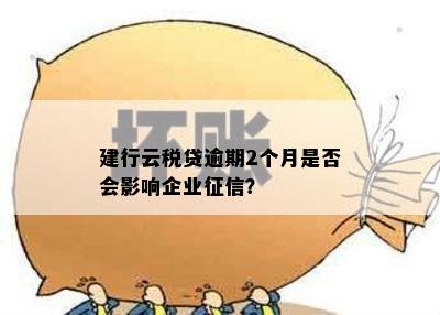 建设银行云税贷逾期还款解决策略：你可能需要知道的一切