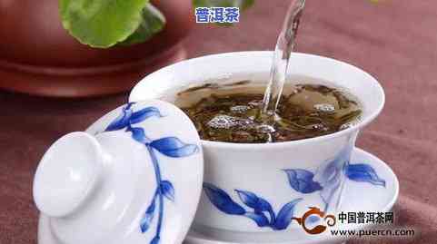 熟普洱茶一般多少度水泡好