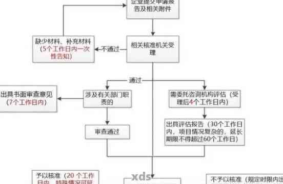 全面了解逾期申报处理流程及相关要求：从申报准备到最处理全解析