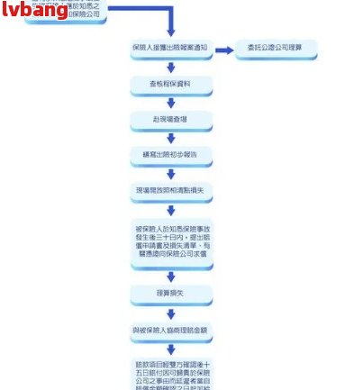 全面了解逾期申报处理流程及相关要求：从申报准备到最处理全解析