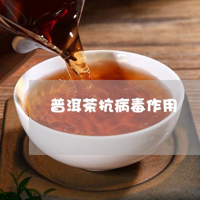 绿茶与普洱茶：抗病效果对比及安全性探讨