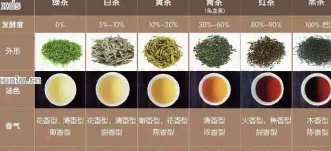 绿茶与普洱茶的健益处：对比研究揭示两种茶叶的独特功效