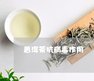 绿茶和普洱茶抗病一样吗