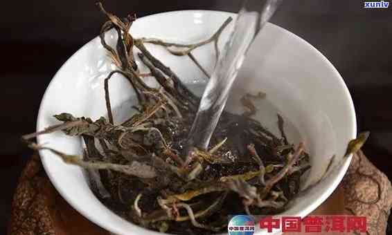 千年老妖普洱茶的功效与作用：冲泡方法与芽苞茶品鉴