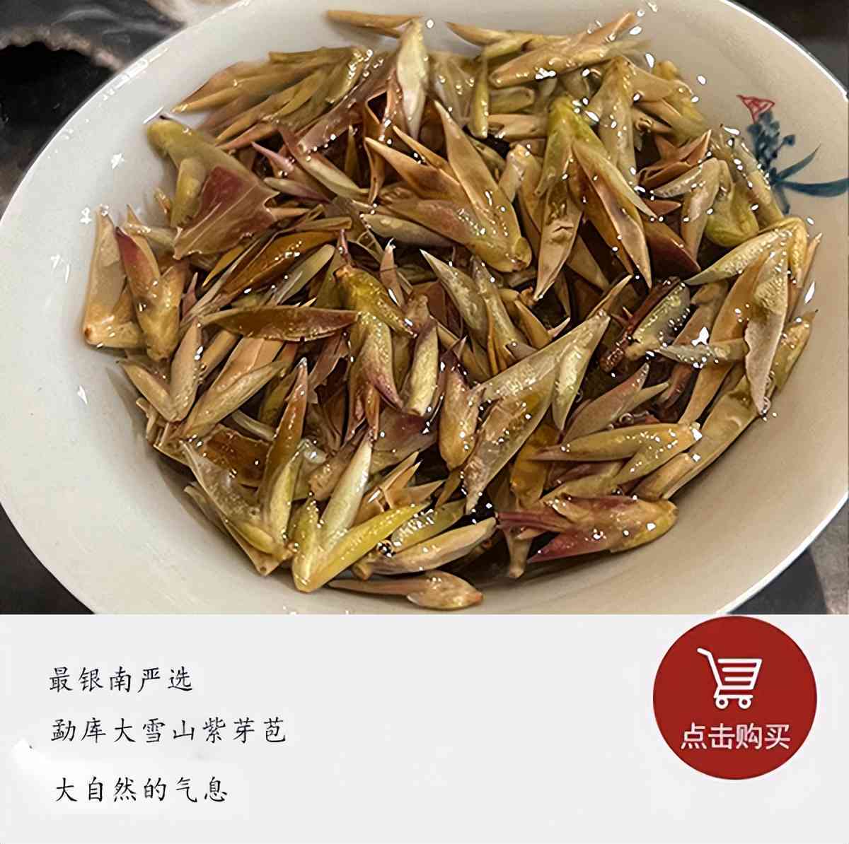 新 云南古树普洱芽苞茶：千年老妖的静默传说与独特韵味