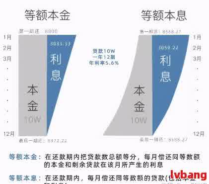 高利贷一期还款周期及相关疑问解答