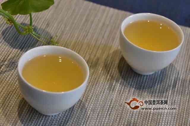 麻黑普洱茶：哪个茶区的？口感特点与产地功效揭秘