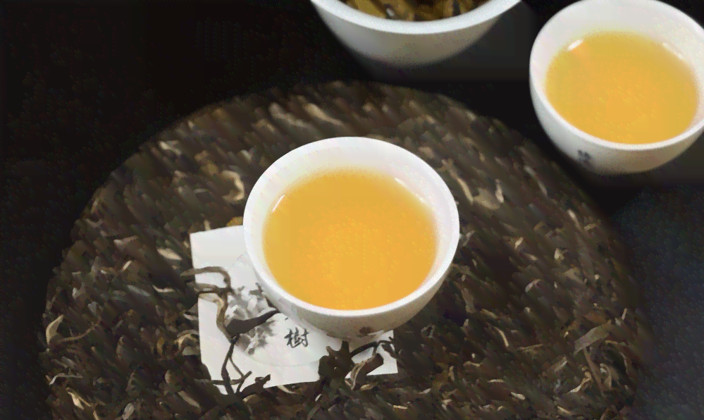 麻黑普洱茶：哪个茶区的？口感特点与产地功效揭秘