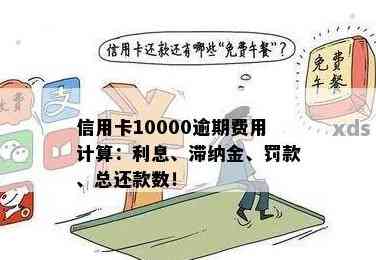 信用卡10000额度逾期一天利息计算：罚息详细解读