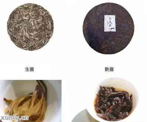 陈香牌云南普洱茶：品质、产地、冲泡方法、功效与收藏全解析