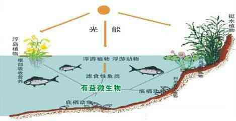 青海料水线的形成及去除方法