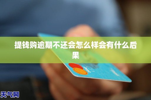 逾期两天后提钱购账户的处理方式和影响：是否还能继续使用？