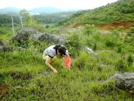 恩施地区的名贵石头种类及其用途详解