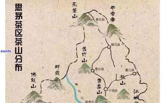 探索普洱茶文化：八大茶山特色与品种概述