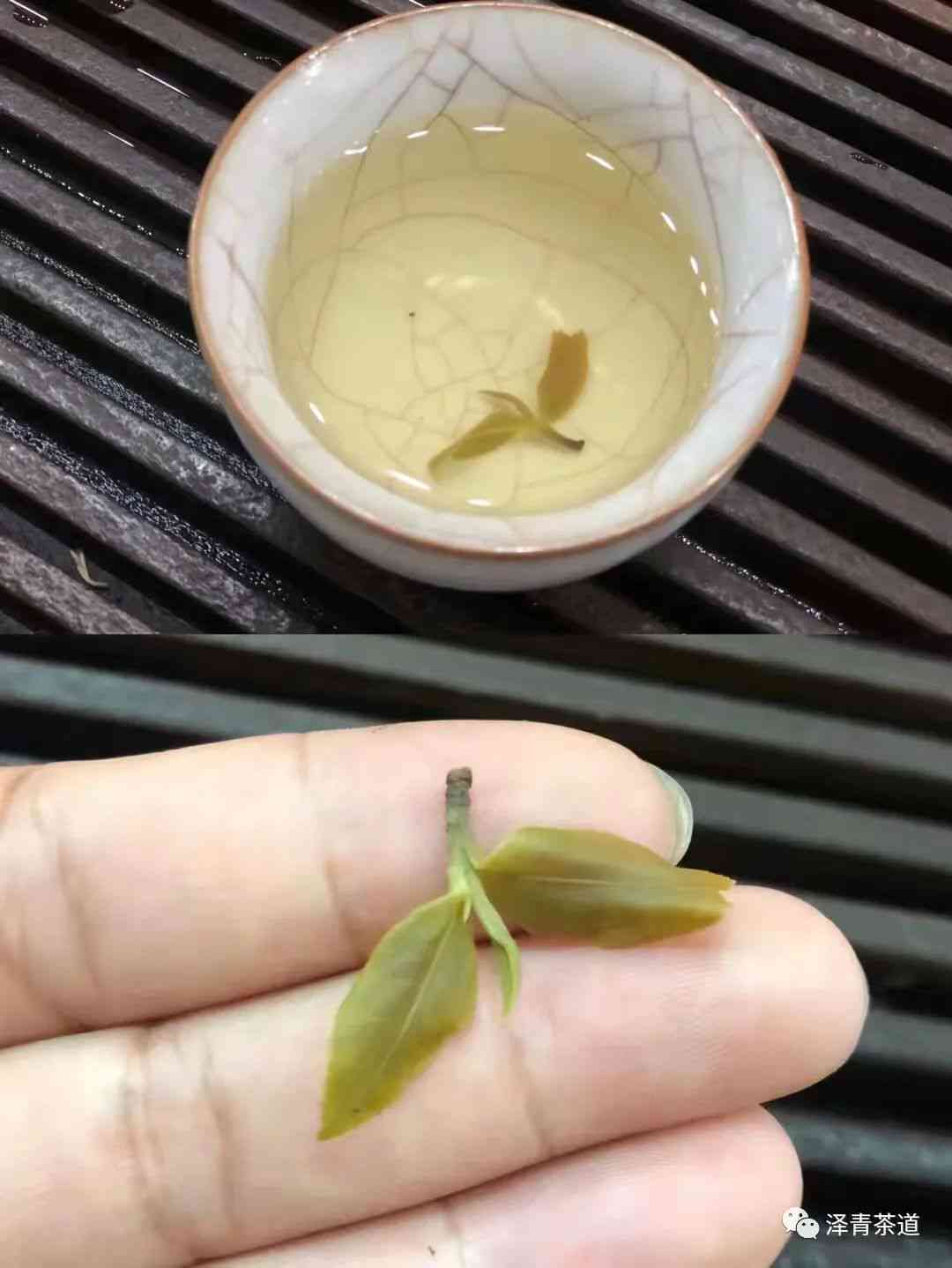 普洱茶：一种独特的茶叶品种还是一类茶叶的象征？