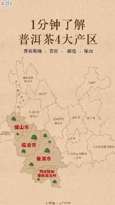 新云南普洱茶产地对比：哪个地区的普洱茶口感更佳？