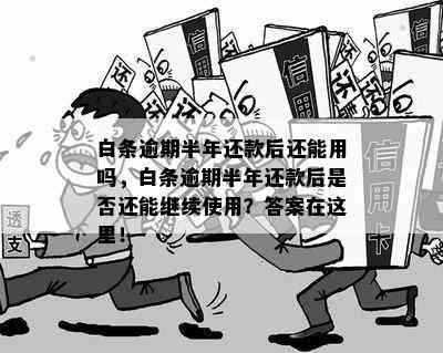 白条逾期后还款，何时能再次使用？