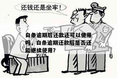 白条逾期后还款，何时能再次使用？