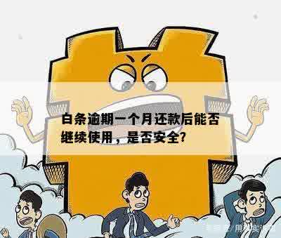 白条逾期后还款，何时能再次使用？