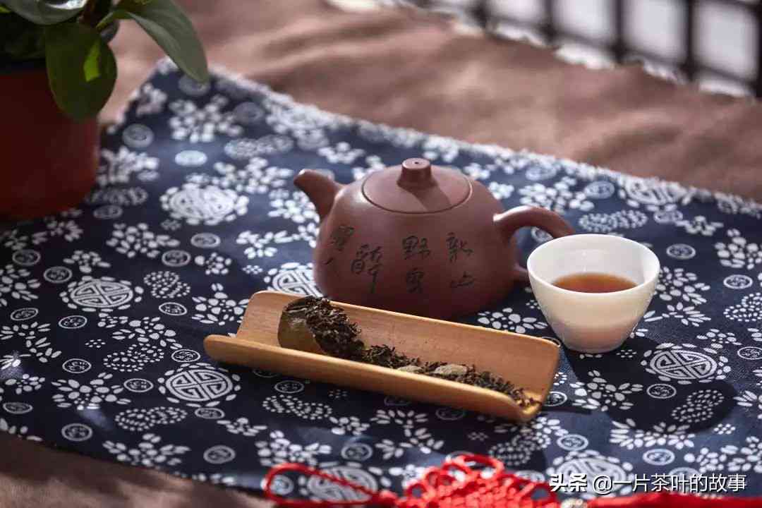 探究普洱茶一山一味系列：口感独特，醇厚滋味令人醉