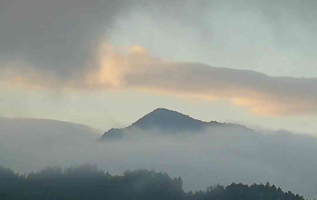 探寻普洱茶的四大名山：古六大茶山、新八大茶山及其他不可忽视的茶叶产地