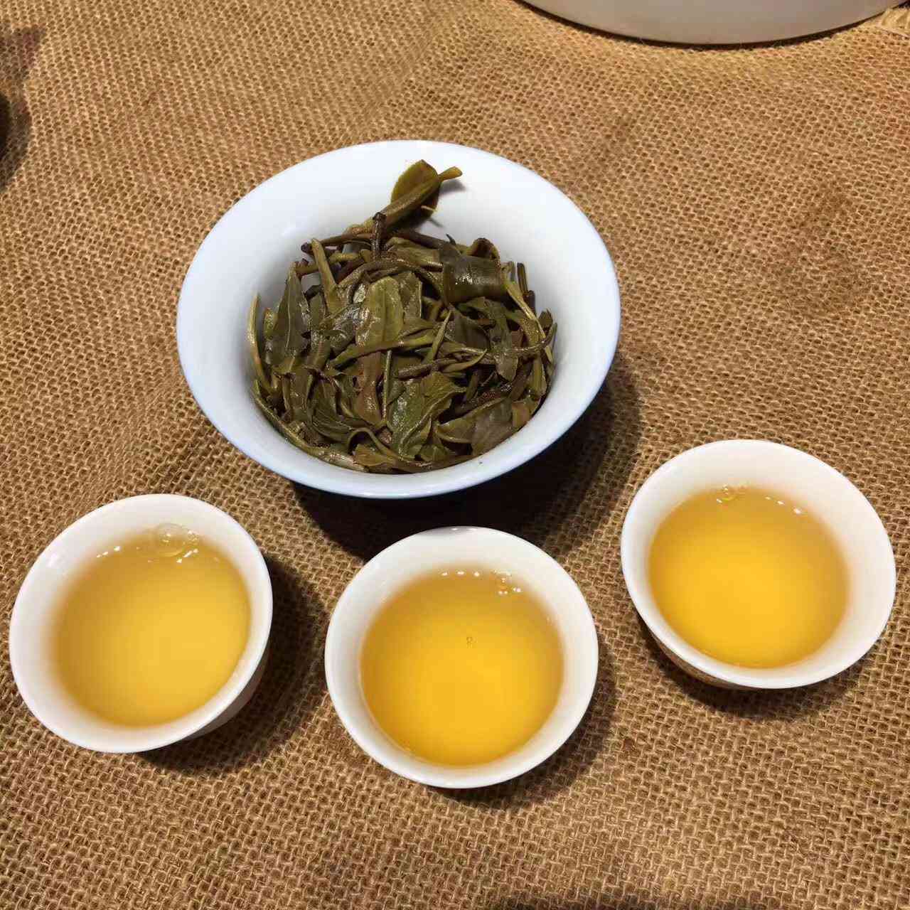 普洱茶四大茶山全方位解读：从产地、历到品茗体验一网打尽