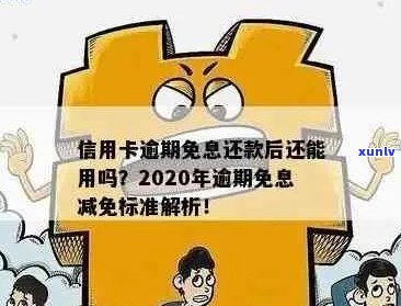 出台减免信用卡逾期返期政策